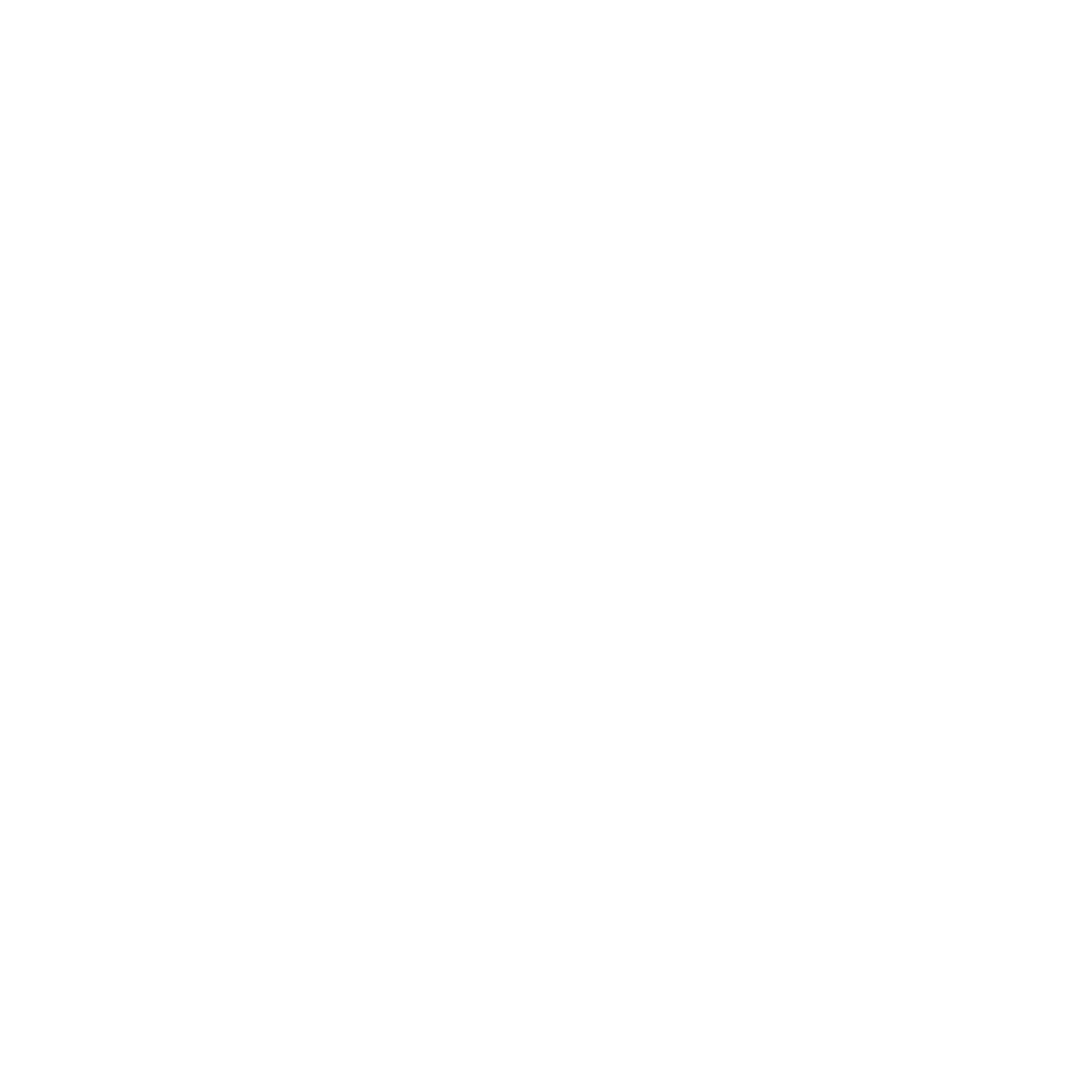 Reglamento táctica y estilos de juego